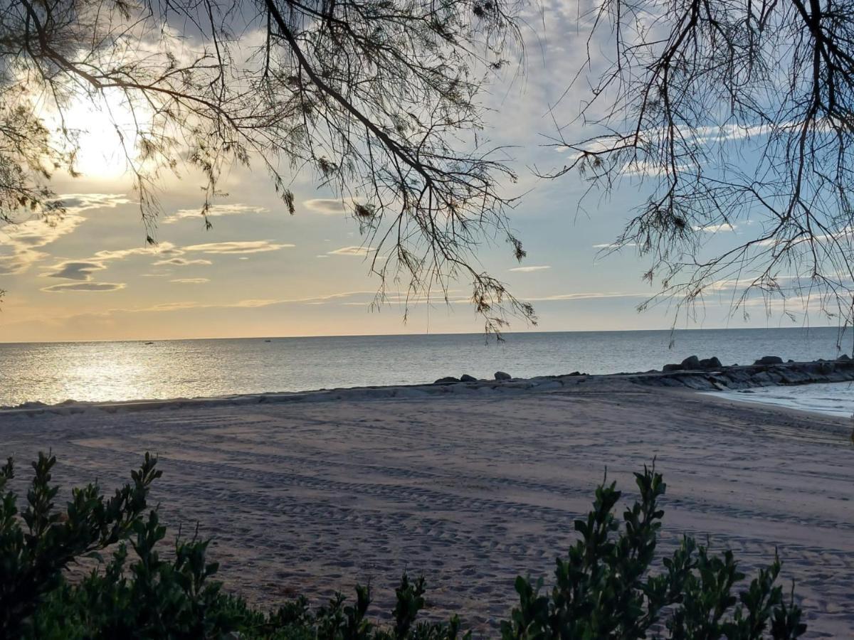 Apartamento Junto Al Mar Vinarós المظهر الخارجي الصورة